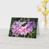 Azalea, Karte (Gelbe Blume)