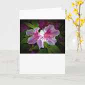 Azalea, Karte (Gelbe Blume)