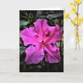 Azalea, Karte (Gelbe Blume)