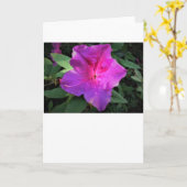 Azalea, Karte (Gelbe Blume)