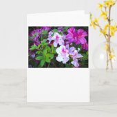 Azalea, Karte (Gelbe Blume)