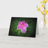 Azalea, Karte (Gelbe Blume)