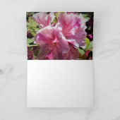 Azalea, Karte (Innenseite)