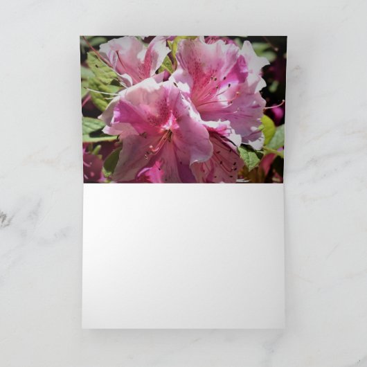 Azalea, Karte (Innenseite)