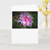 Azalea, Karte (Gelbe Blume)