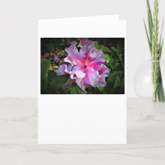 Azalea, Karte