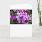 Azalea, Karte (Vorderseite)