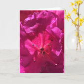 Azalea, Karte (Gelbe Blume)