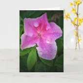 Azalea, Karte (Gelbe Blume)