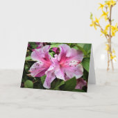 Azalea, Karte (Gelbe Blume)