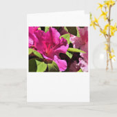 Azalea, Karte (Gelbe Blume)