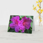 Azalea, Karte (Gelbe Blume)