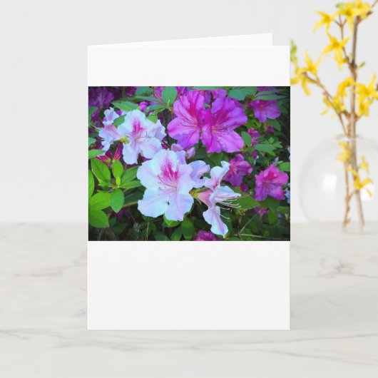 Azalea, Karte (Gelbe Blume)