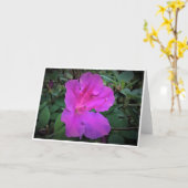 Azalea, Karte (Gelbe Blume)