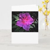 Azalea, Karte (Gelbe Blume)