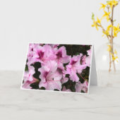 Azalea, Karte (Gelbe Blume)