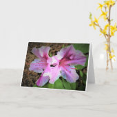 Azalea, Karte (Gelbe Blume)