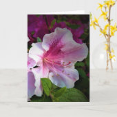 Azalea, Karte (Gelbe Blume)