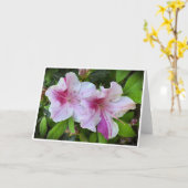 Azalea, Karte (Gelbe Blume)