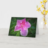 Azalea, Karte (Gelbe Blume)