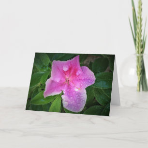 Azalea, Karte