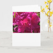 Azalea, Karte (Gelbe Blume)