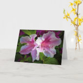 Azalea, Karte (Gelbe Blume)