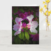 Azalea, Karte (Gelbe Blume)