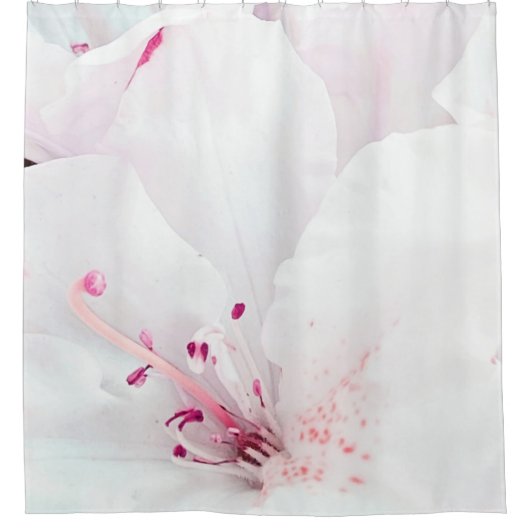 *~* Azalea Kunstmalerei Blume Weiß Rosa Duschvorhang (Vorderseite)