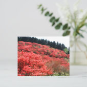 Azalea Landschaft:Postkarte Postkarte (Stehend Vorderseite)