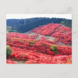 Azalea Landschaft:Postkarte Postkarte