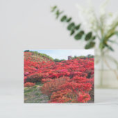 Azalea Landschaft [Postkarte] Postkarte (Stehend Vorderseite)