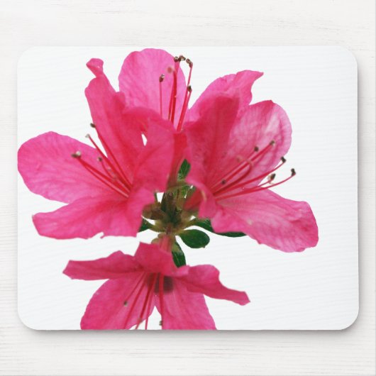 Azalea Mousepad (Vorne)