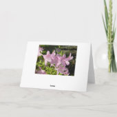 Azalea Nachmittagskarte Karte (Rückseite)