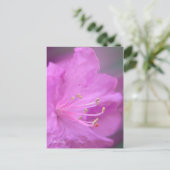Azalea Nah-up Postkarte (Stehend Vorderseite)
