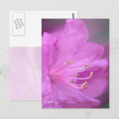 Azalea Nah-up Postkarte (Vorne/Hinten)