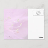 Azalea Nah-up Postkarte (Rückseite)