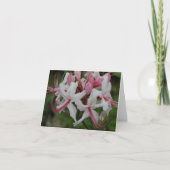 Azalea Note Card Karte (Vorderseite)