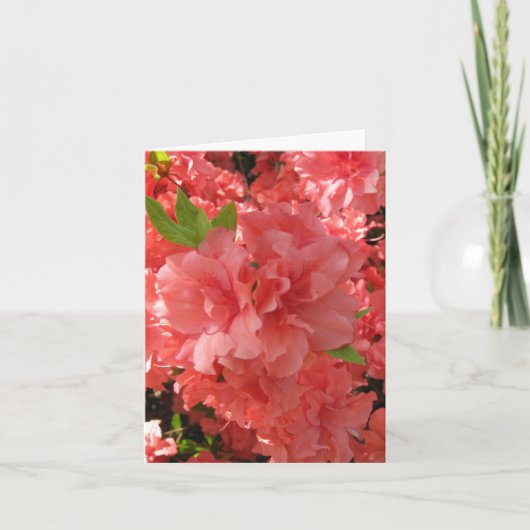 Azalea Notecard Karte (Vorderseite)
