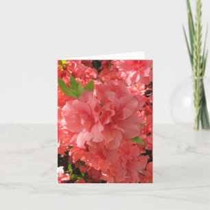 Azalea Notecard Karte