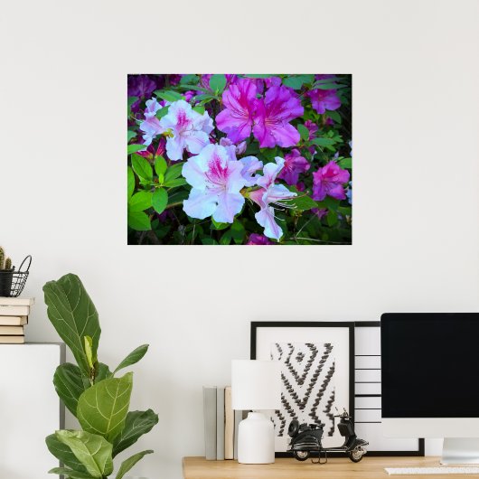 Azalea, Poster (Heimbüro)