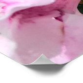 Azalea, Poster (Ecke)