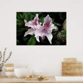 Azalea Poster (Küche)