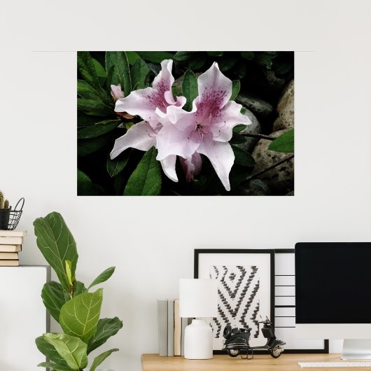 Azalea Poster (Heimbüro)