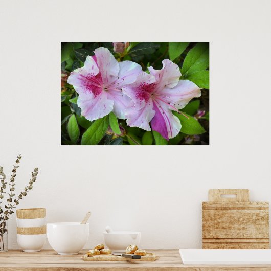 Azalea, Poster (Küche)