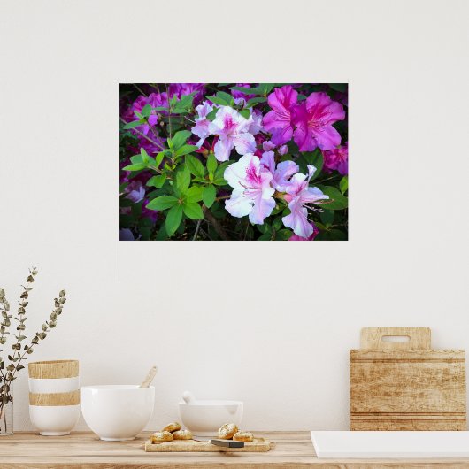 Azalea, Poster (Küche)