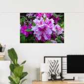 Azalea, Poster (Heimbüro)