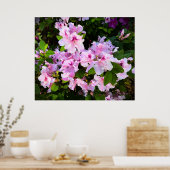 Azalea, Poster (Küche)