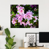 Azalea, Poster (Heimbüro)