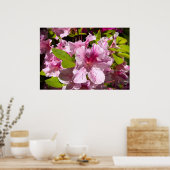 Azalea, Poster (Küche)